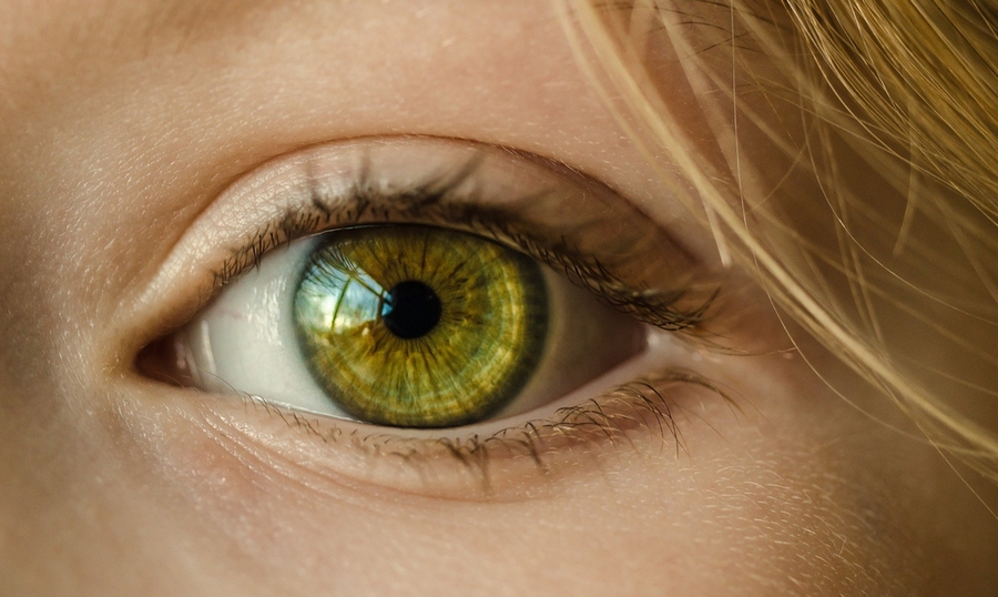 Close-up of a green eye with fine detail of the iris and eyelashes.