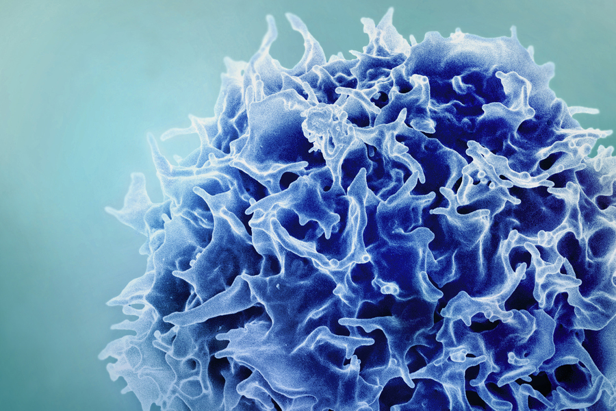 High‑magnification image of a textured, irregularly surfaced cell in blue tones.