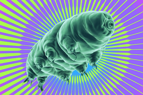 Green tardigrade illustration on a vibrant purple and green radial striped background.