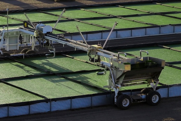 Automated machine harvesting crops in green rectangular beds arranged in a grid.