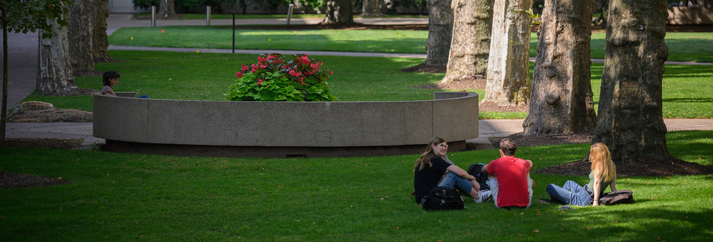 Three people sitting on the grass, enjoying a sunny day on campus.